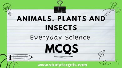 Animals, Plants And Insects Everyday Science MCQs