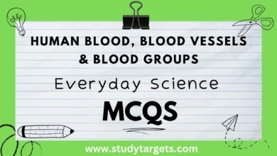 Human Blood, Blood Vessels & Blood Groups Everyday Science MCQs