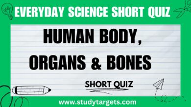 Human Body, Organs, Bones Everyday Science Short Quiz