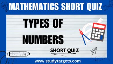 Types Of Numbers Mathematics Short Quiz